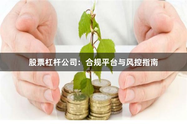 股票杠杆公司：合规平台与风控指南